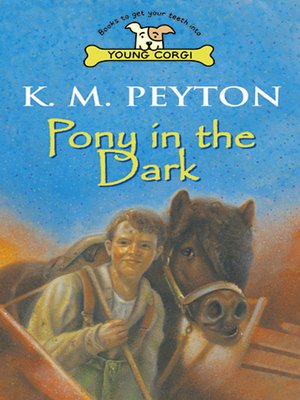 cover image of Pony in the Dark